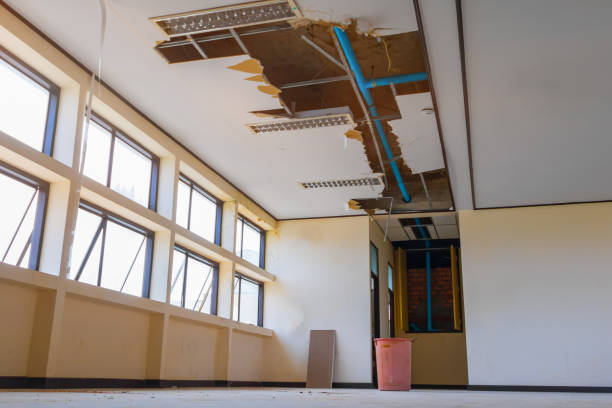 Trusted Reedurban, OH Water damage restoration Experts