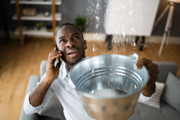Best Basement water damage restoration  in Reedurban, OH