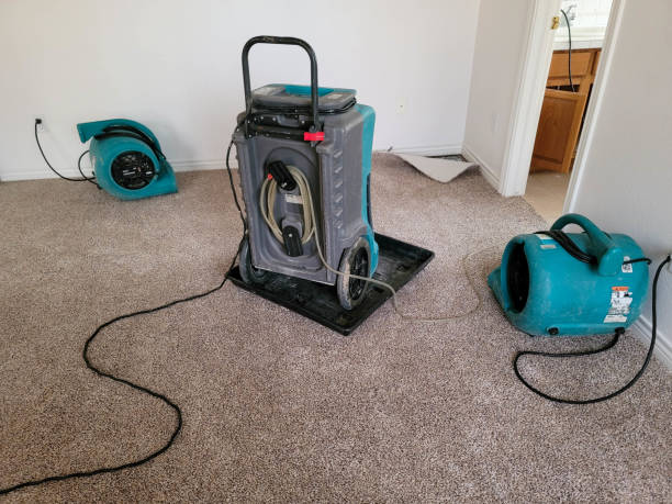 Best Water damage repair service  in Reedurban, OH