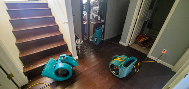 Best 24-hour water damage restoration  in Reedurban, OH