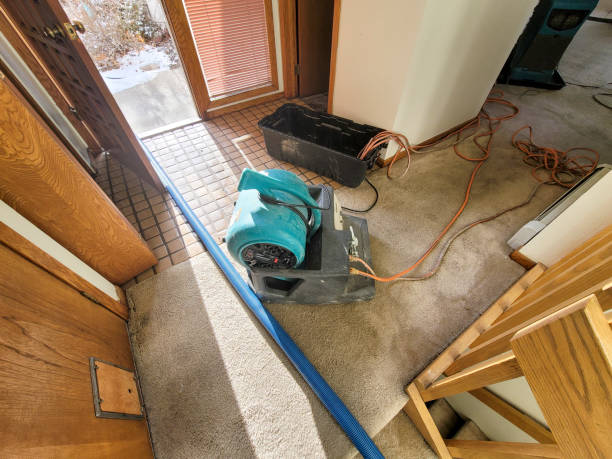 Best Water damage contractors near me  in Reedurban, OH