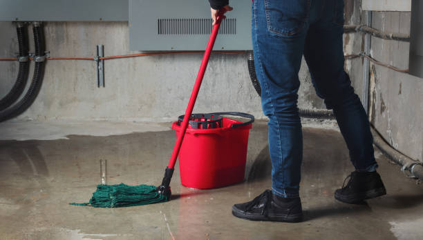 Best Water damage restoration near me  in Reedurban, OH
