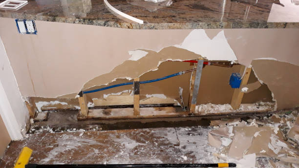 Best Water damage restoration mold remediation  in Reedurban, OH