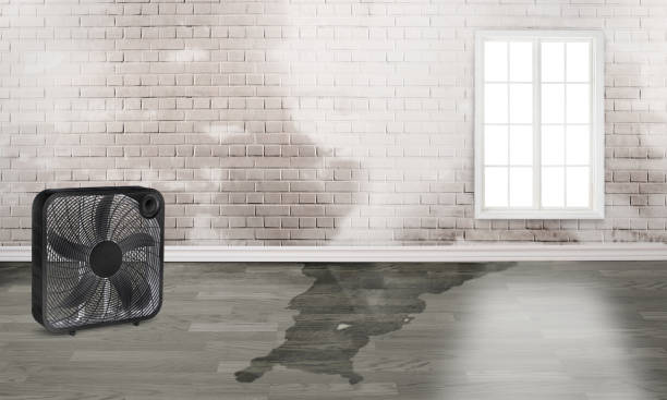 Best Flooded house restoration  in Reedurban, OH