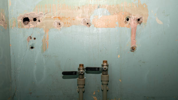 Best Professional water damage repair  in Reedurban, OH