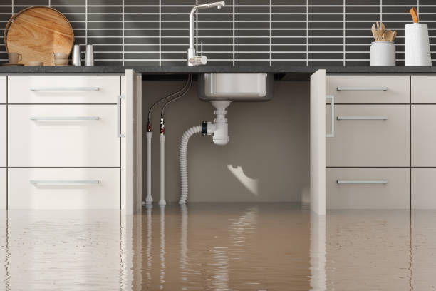 Water damage restoration mold remediation in Reedurban, OH