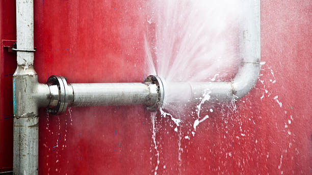 Best Water damage cleanup near me  in Reedurban, OH