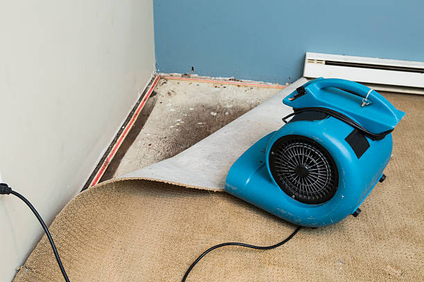 Best 24/7 water damage repair  in Reedurban, OH
